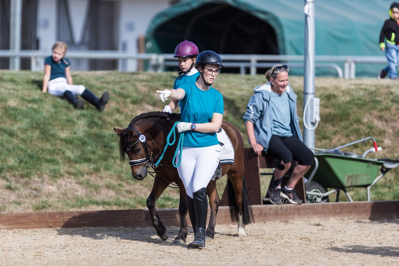 Bild 4 - Pony Akademie Turnier